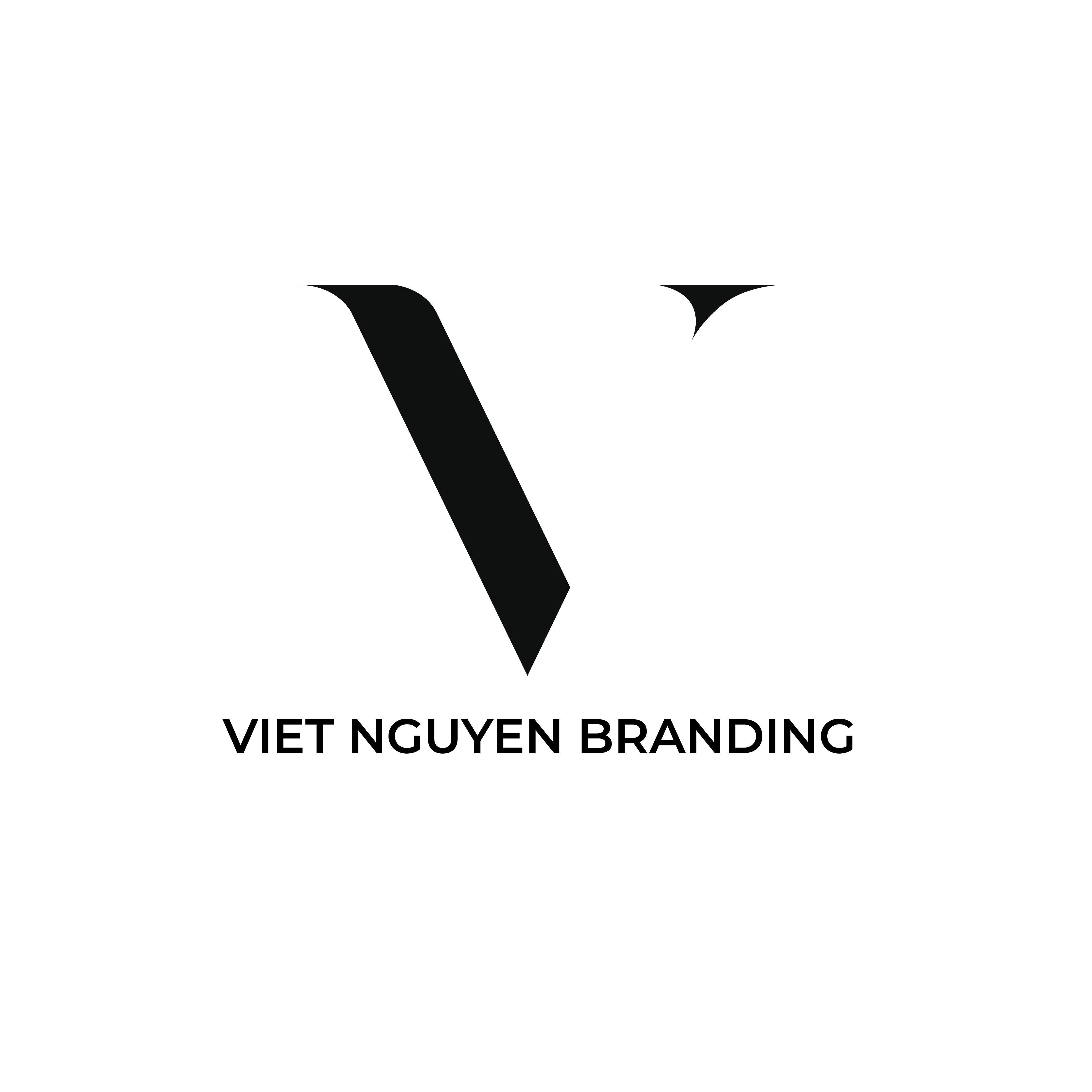 Viet Nguyen Branding